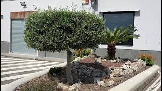 Edificio Commerciale con area parcheggio in Via Campana 185, Pozzuoli (NA)